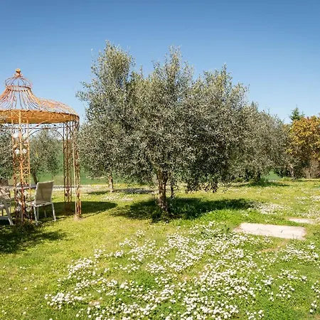 Dependance Corbezzolo Nel Podere Di Sant'antonio *